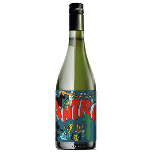 Antro Sauvignon Blanc 2025