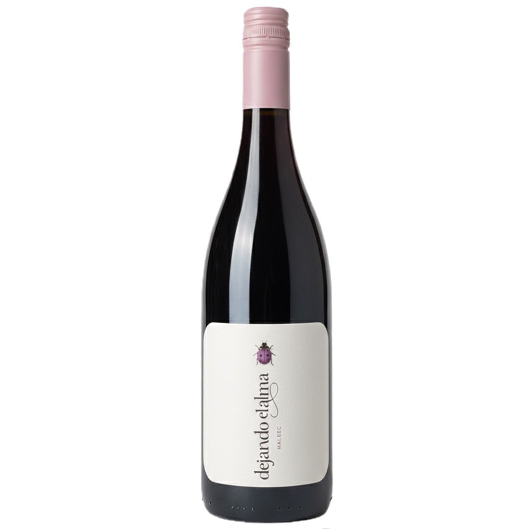 Sueños de Revolución Dejando el Alma Malbec 2024
