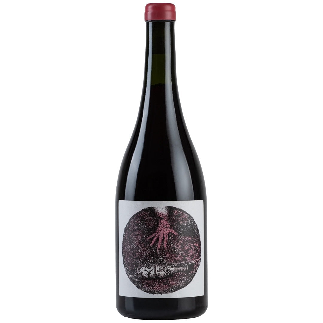 Solito Va Co de Criollas 2025