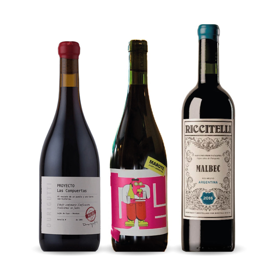 Malbec de Norte a Sur