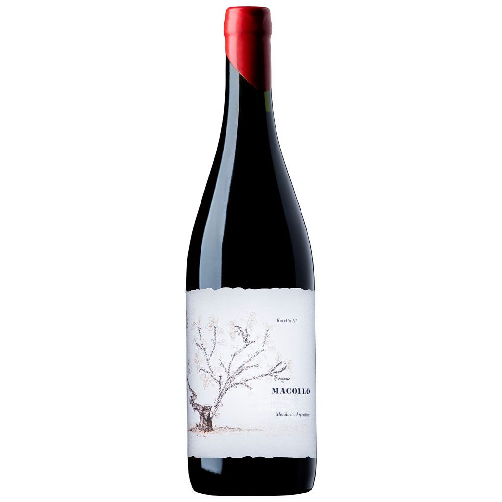 Macollo Sangiovese 2024