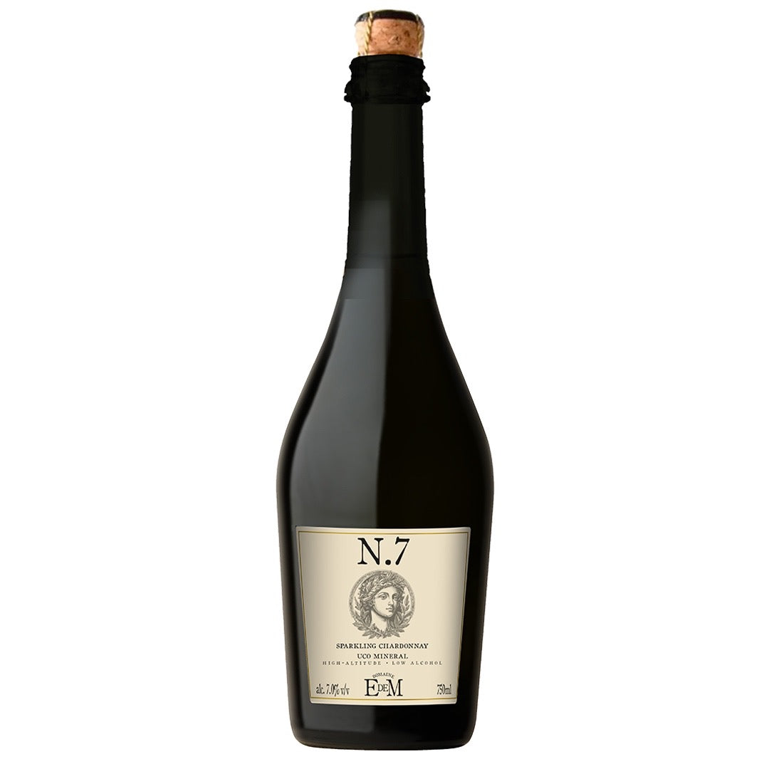 Domaine elena de mendoza Sparkling Chardonnay n.7 uco mineral