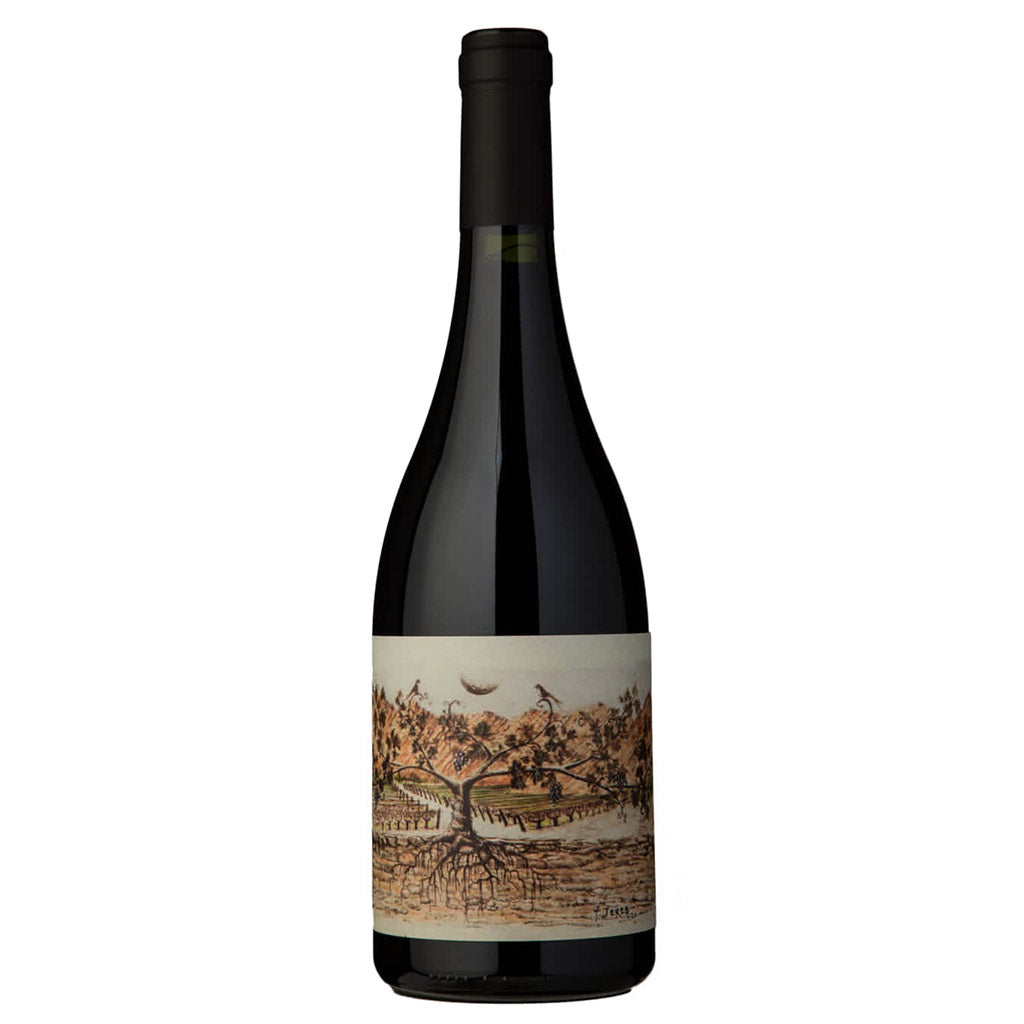 Almacén de la Quebrada Pucará 2019