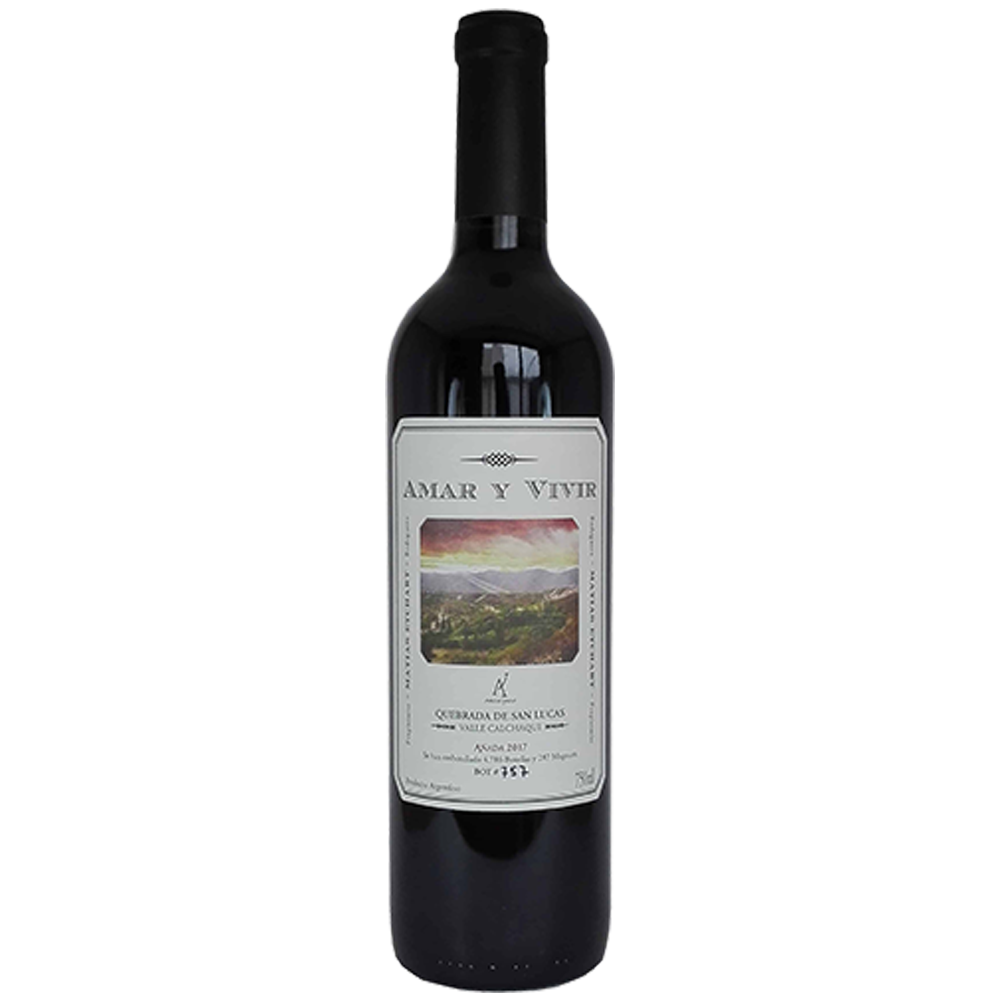 Amar y Vivir Malbec 2019