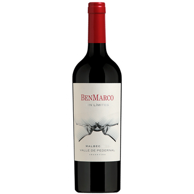 Benmarco Sin Limites Malbec Pedernal 2019