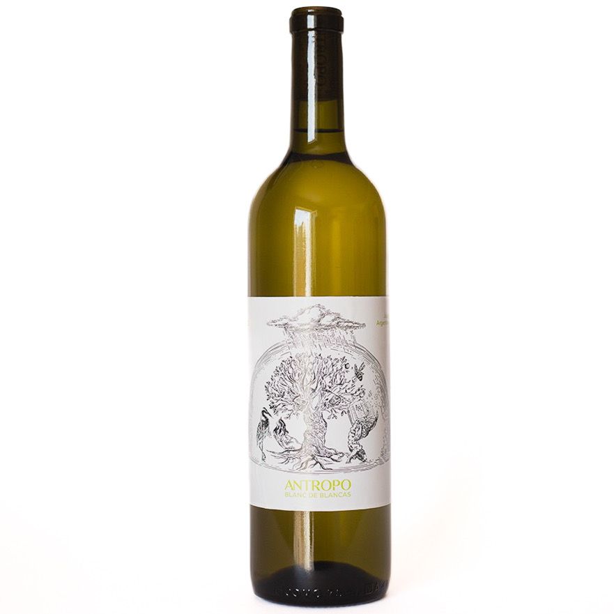 Antropo Blanc de Blancas 2023