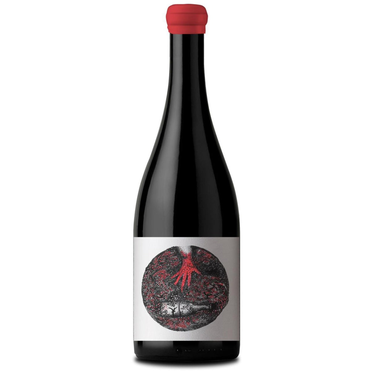 Solito Va Carbónica 2024