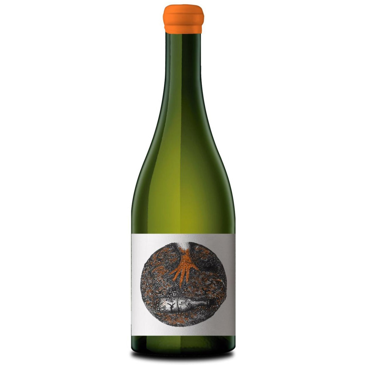 Solito Va Naranjo 2025